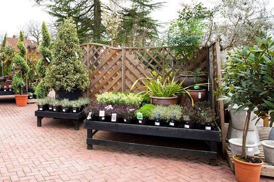 Plantation Garden Centre